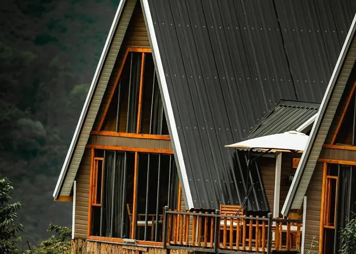 Ayliya Трабзон