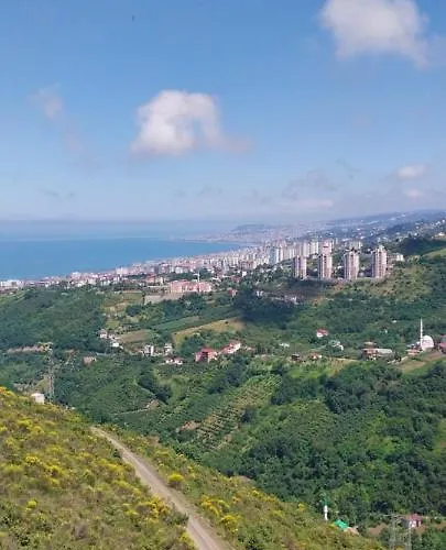 Ayliya Апартаменты